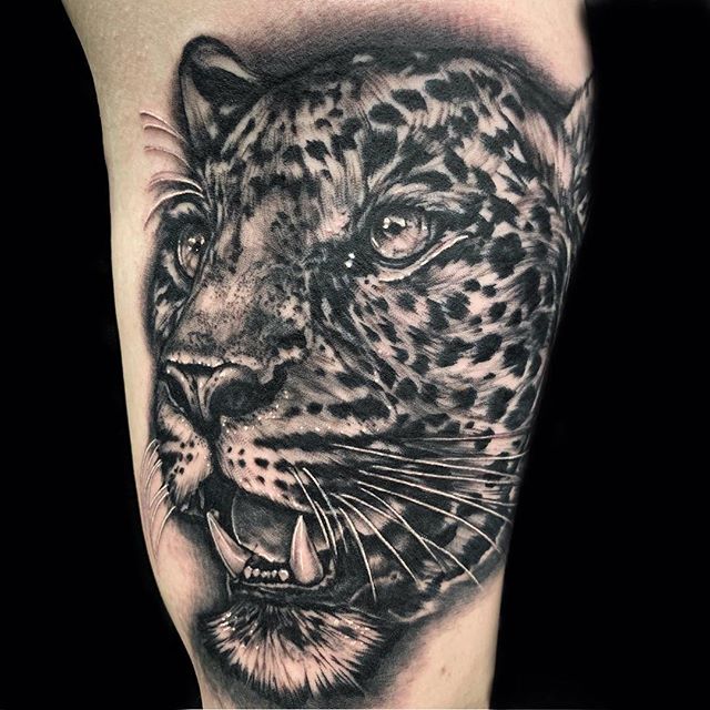 Realistic Big Cat