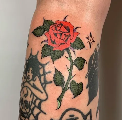 Traditional Rose Portrait