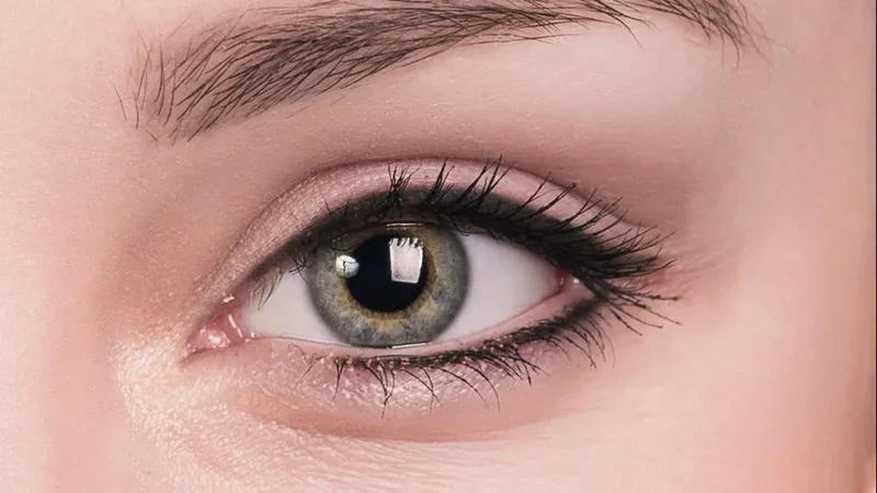 Top & Bottom Eyeliner